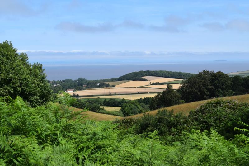 Heavenly Days on the Coleridge Way