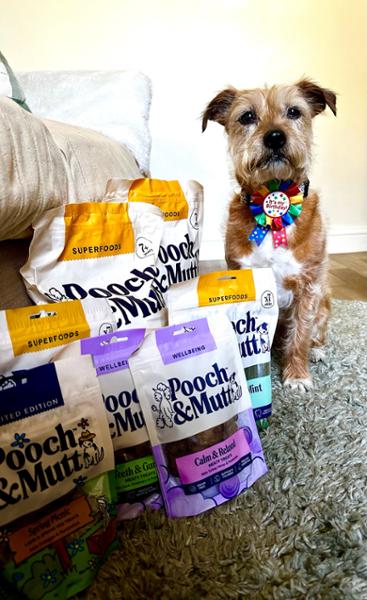 Spirulina & Mint Dental Sticks For Dogs | 7 Sticks | Dog Chews For Fresh Breath | Pooch & Mutt | Daily Dental Stick