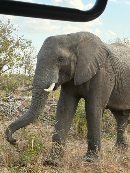 Exploring South Africa, Victoria Falls, and Botswana on 06/14/2026