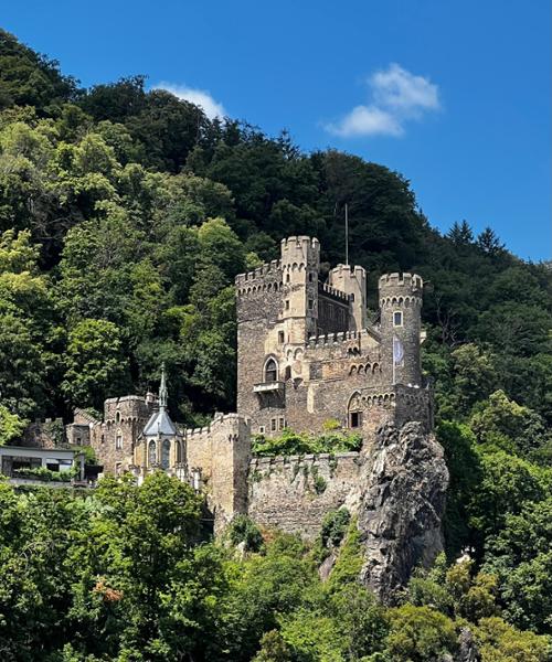 Castles along The Rhine