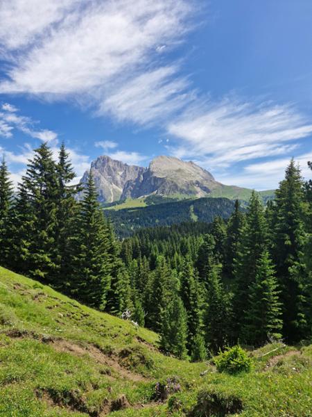 The Chestnut Route