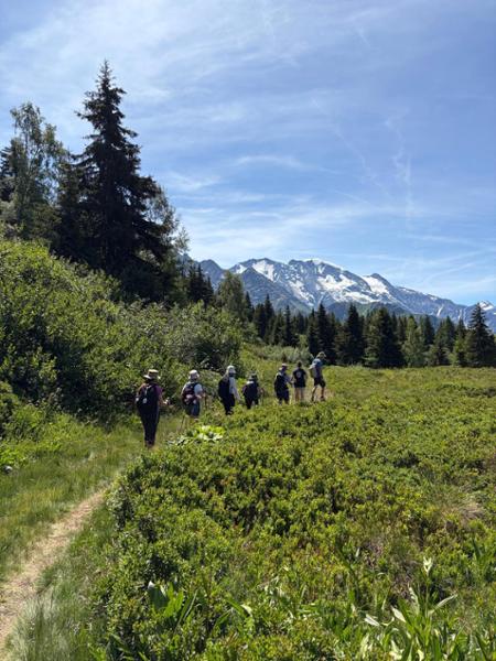 Highlights of Mont Blanc