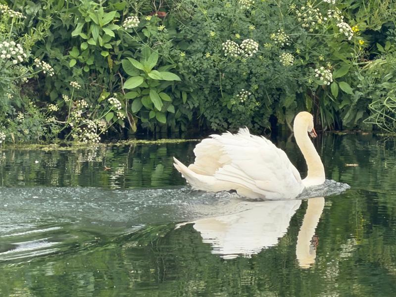 Thames Path