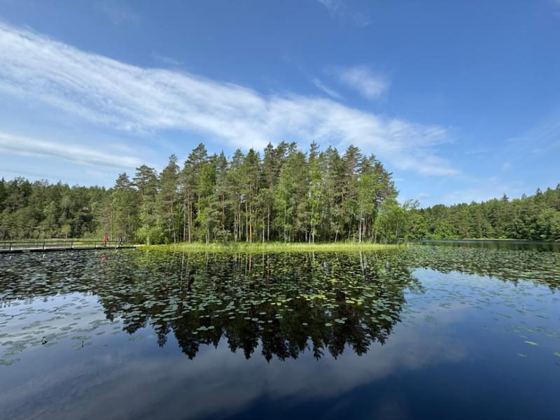 Walking in Finland and Sweden