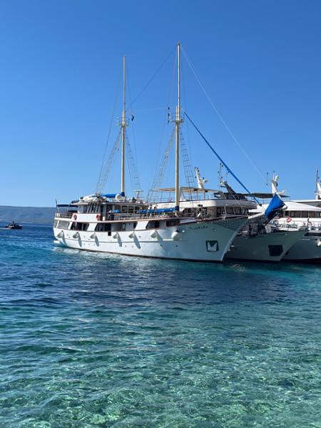 Split  Hvar & the Delights of Dalmatia Yacht Cruise