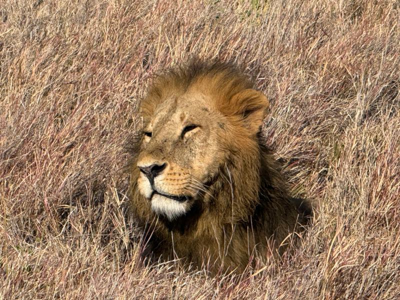 Kenya