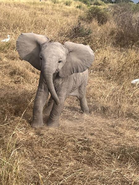Kenya