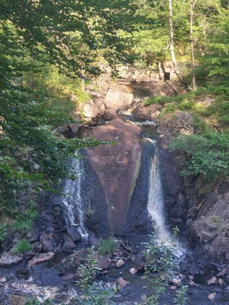 Natur i Simlångsdalen