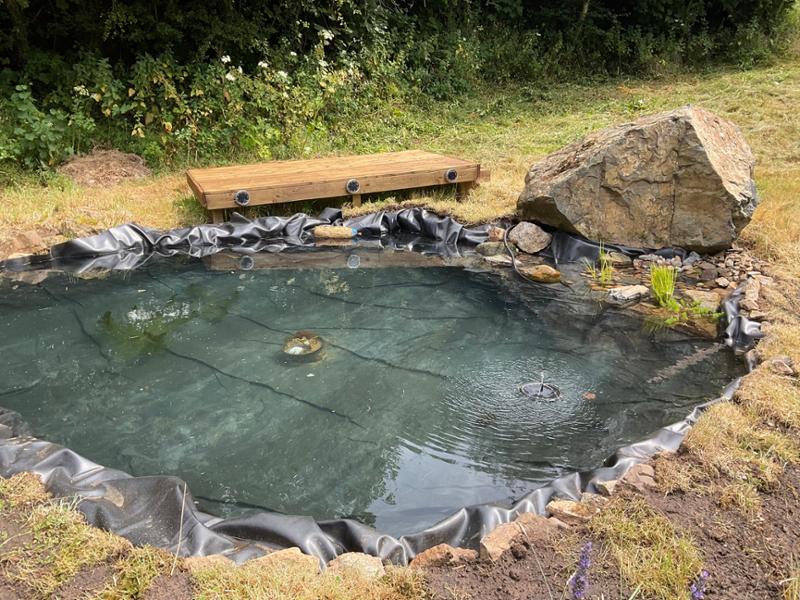 Wildlife Pond