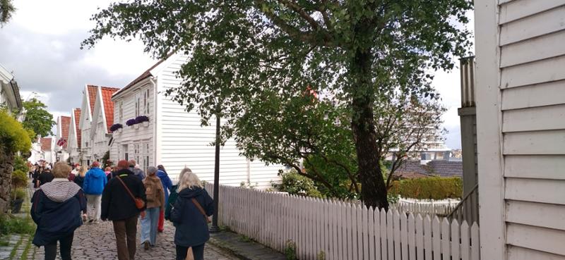 Your tour in Alesund - Island Discovery