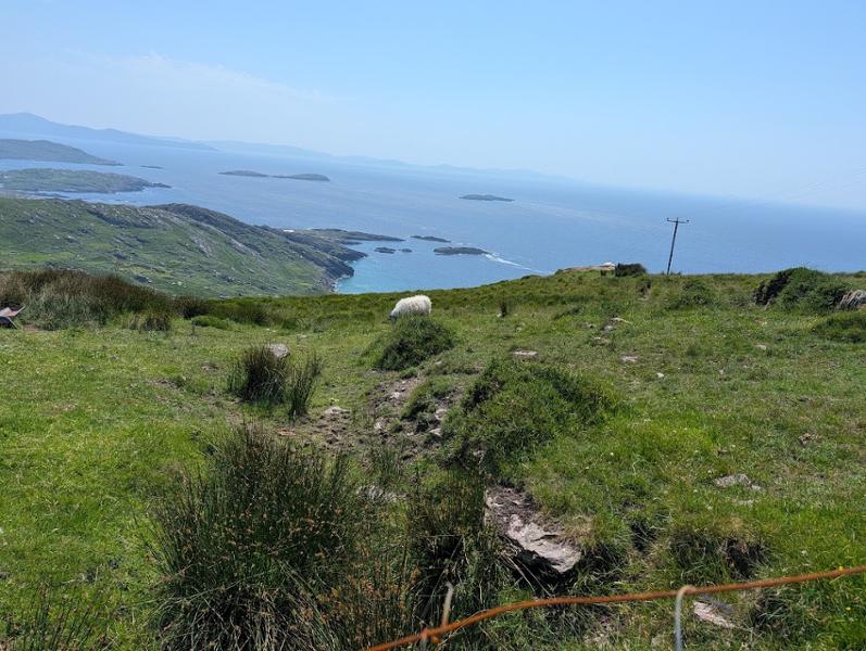Shades of Ireland on 06/21/2026