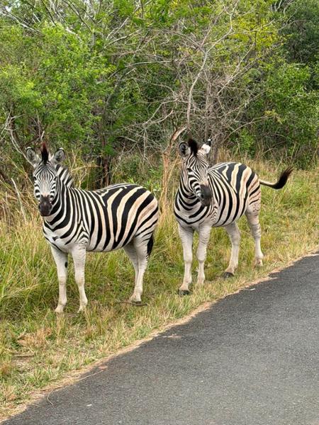 South Africa & Eswatini