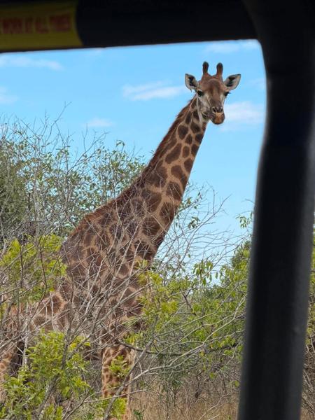 South Africa & Eswatini