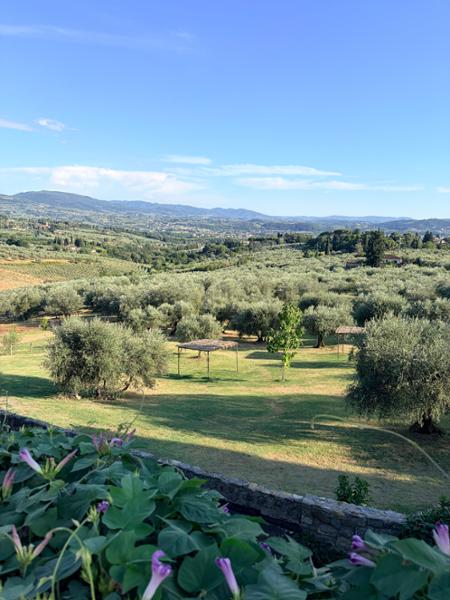 Italian Holiday