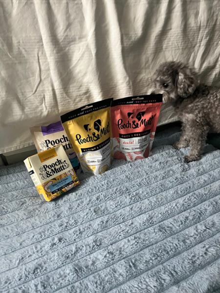 Dental Probiotic Meaty Treats