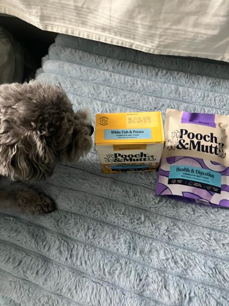 Wet Dog Food For Sensitive Stomachs | 150g | Grain-Free Dog Food For Allergies | Pooch & Mutt | Sensitive Dog Food For Digestion