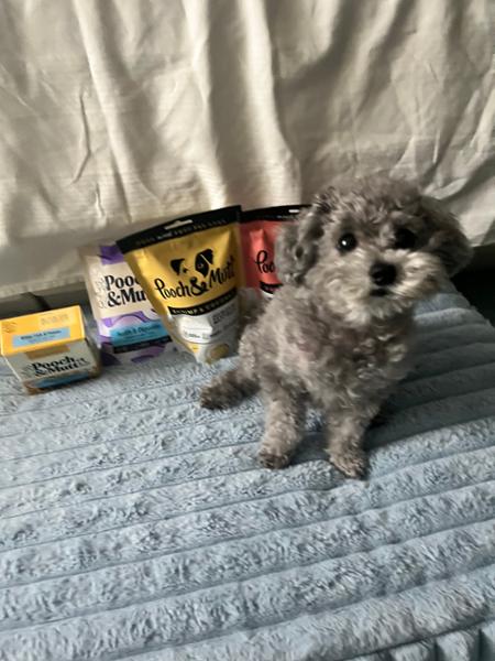 Grain-Free Itchy Dog Treats | 120g | Dog Treats For Skin Allergies | Pooch & Mutt | Skin & Coat Dog Treats