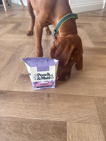 Calming Chicken Bone Broth For Dogs | 12 x 375ml | For Excitable Or Nervous Dogs | Pooch & Mutt | Gravy Style Broth With Collagen For Dogs