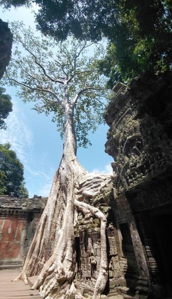 5684-Vietnam & Cambodia Discovery