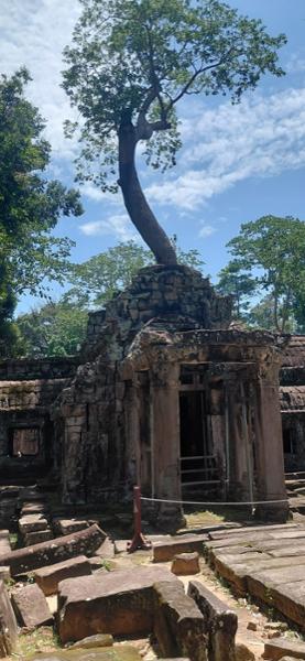 5684-Vietnam & Cambodia Discovery