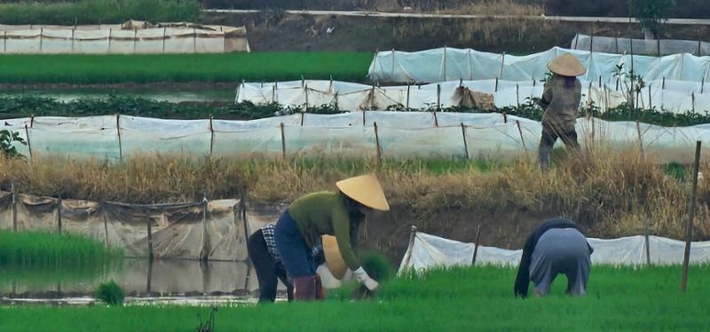 5701-Highlights of Vietnam