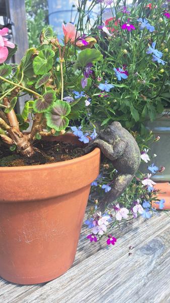 Frog Pot Hanger - Set of 3