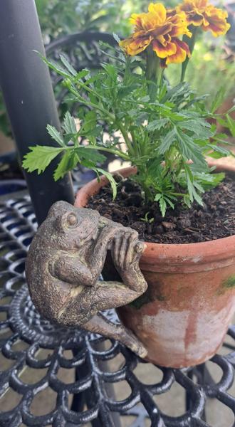 Frog Pot Hanger - Set of 3