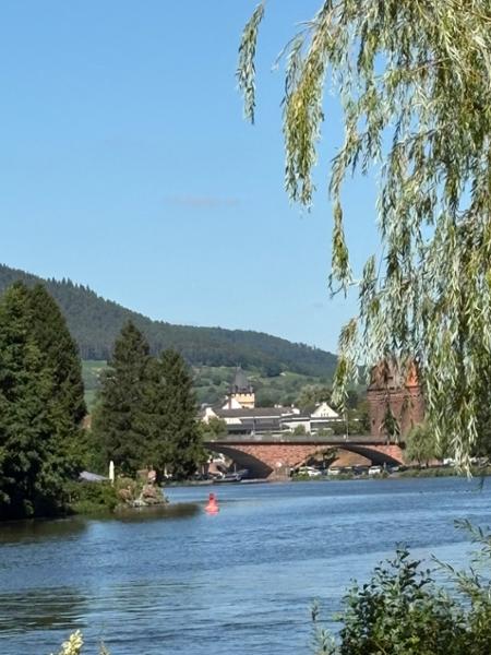 Cruise the Heart of Europe