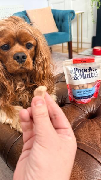 Turkey & Salmon Freeze Dried Dog Treats | 40g | Pooch & Mutt | 96% Turkey & Salmon Treats For Dogs | Grain-Free & High Protein