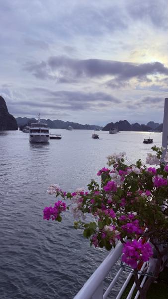 5684-Vietnam & Cambodia Discovery