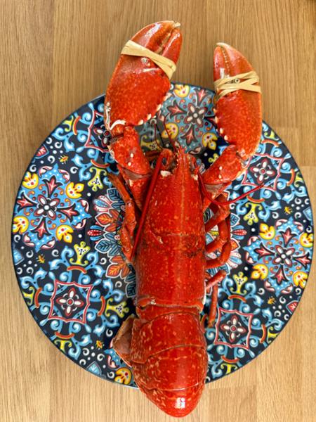 Fresh Whole Cooked Lobster | 800-1000g