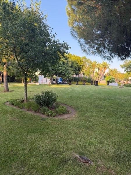 Golf Escape - July 2026