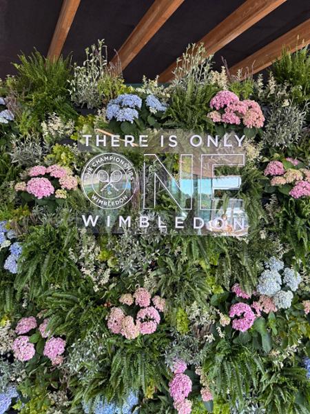 The Championships, Wimbledon 2026
