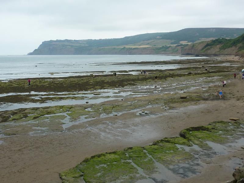 Your holiday: North York Moors  - Self Guided Walking