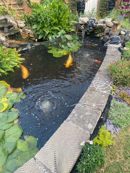 You can’t go wrong with Pondkeeper Value for money With quality attached