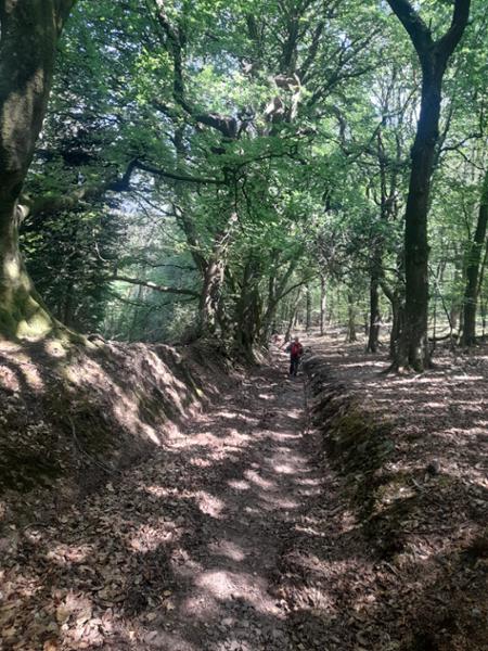 Your holiday: Exmoor  - Coleridge Way