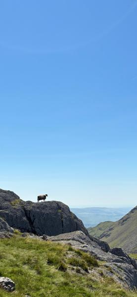 Your holiday: Southern Lake District  - Self Guided Walking