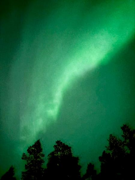 Wilderness Hotel Juutua – Arctic Aurora Activity Holiday in Finnish Lapland