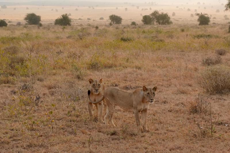 Kenya