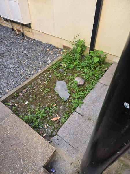 Beachcombers- be aware, not all accommodation as represented