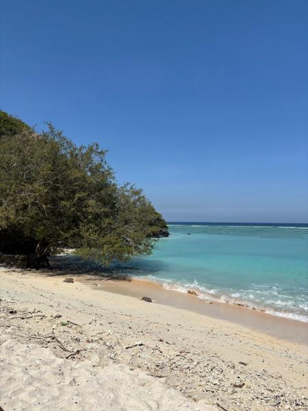 Bali Tour