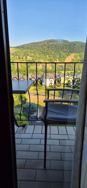 Hotel Moselblick