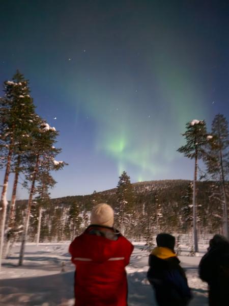 Northern Lights Village Saariselkä – Tailor Made