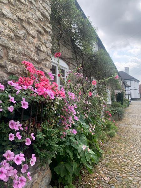 Your holiday: Shropshire Hills  - Self Guided Walking