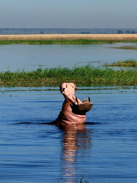 An exceptional experience with Go2Africa!