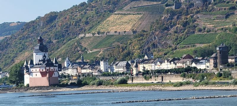 Castles along The Rhine