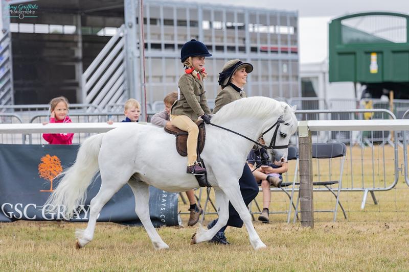 Super Concentrated Senior Balancer - For horses and ponies over 14 years