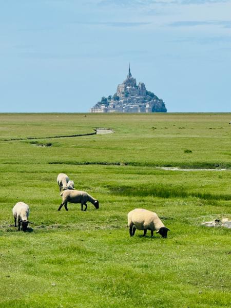 Best of France