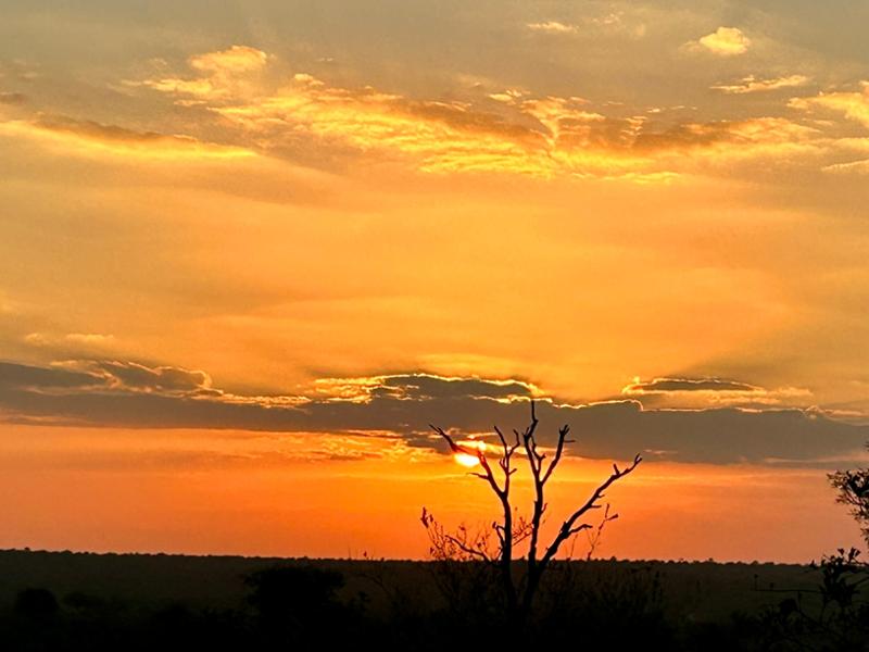 Awesome safari South Africa, Botswana. Incredible lodges/animals/experience