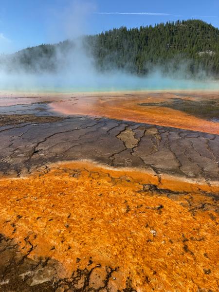 Yellowstone Discovery